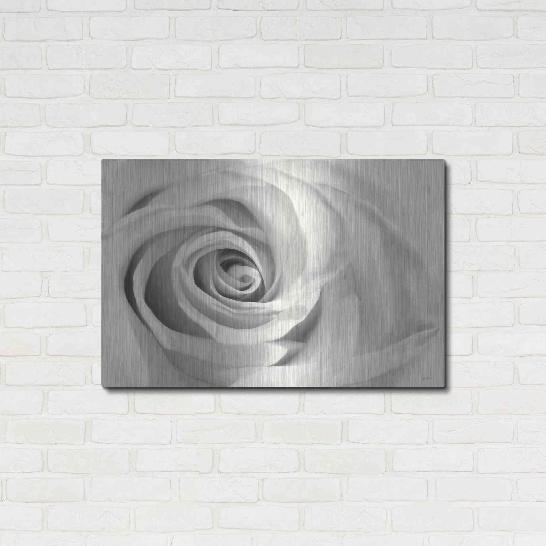 Luxe Metal Art 'Rose II' by Lori Deiter, Metal Wall Art,36x24