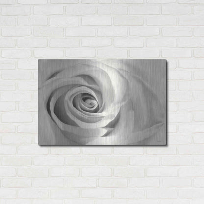 Luxe Metal Art 'Rose II' by Lori Deiter, Metal Wall Art,36x24