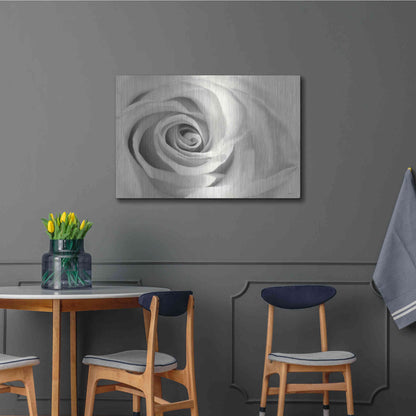 Luxe Metal Art 'Rose II' by Lori Deiter, Metal Wall Art,36x24