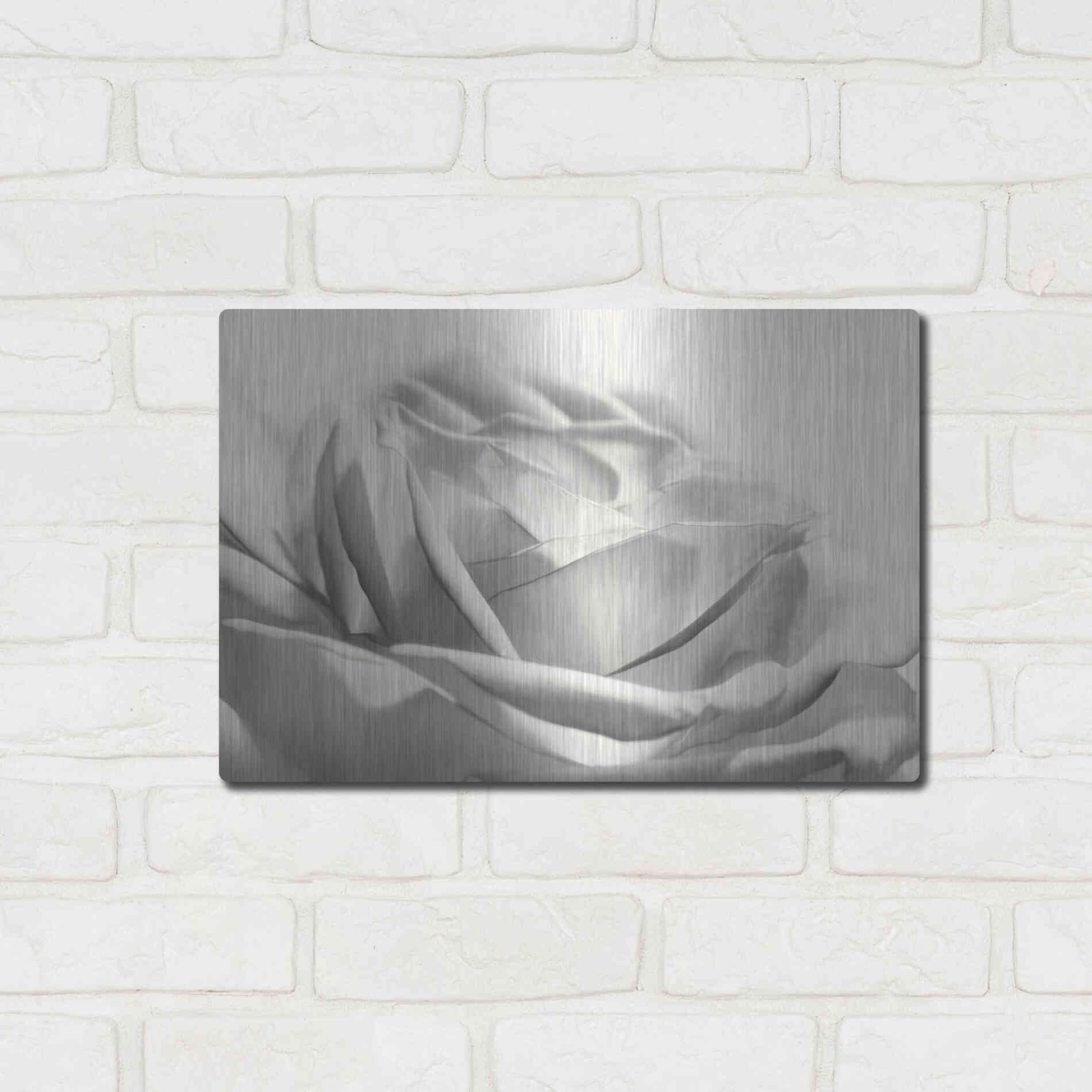 Luxe Metal Art 'Rose III' by Lori Deiter, Metal Wall Art,16x12