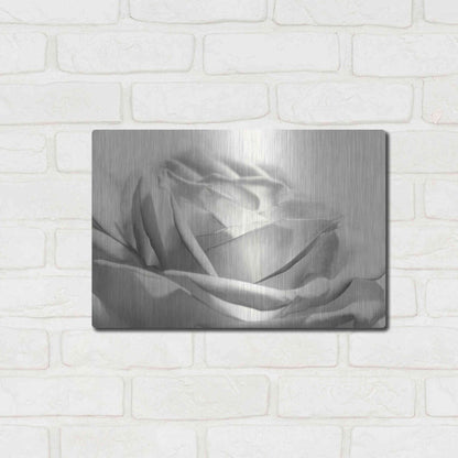 Luxe Metal Art 'Rose III' by Lori Deiter, Metal Wall Art,16x12