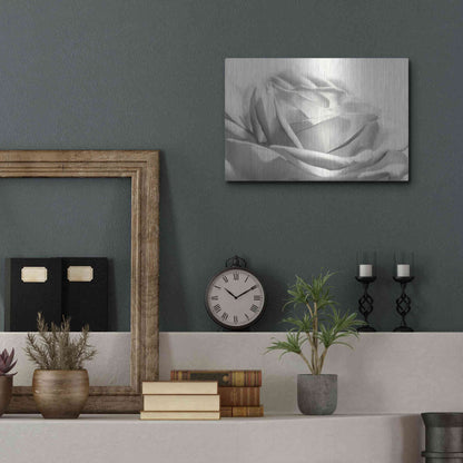 Luxe Metal Art 'Rose III' by Lori Deiter, Metal Wall Art,16x12