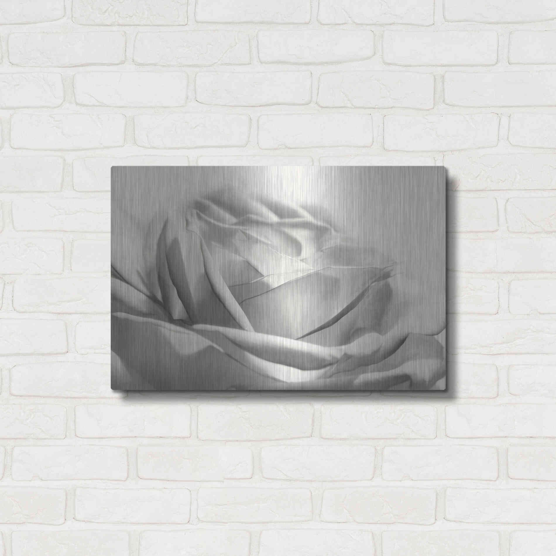 Luxe Metal Art 'Rose III' by Lori Deiter, Metal Wall Art,24x16