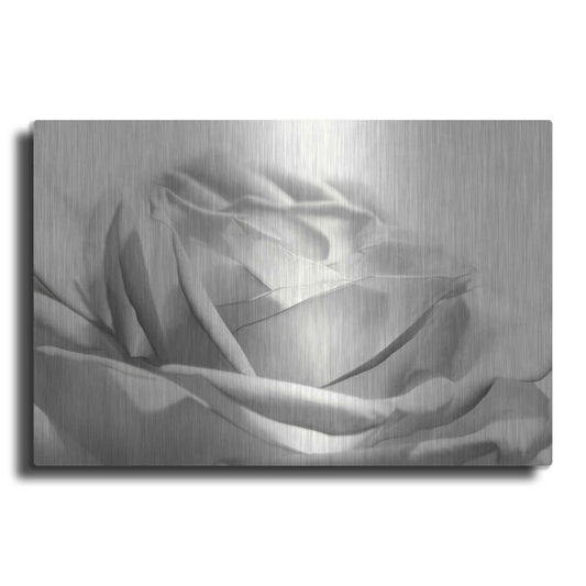 Luxe Metal Art 'Rose III' by Lori Deiter, Metal Wall Art
