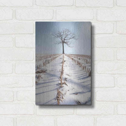 Luxe Metal Art 'Winter Boughs' by Lori Deiter, Metal Wall Art,12x16