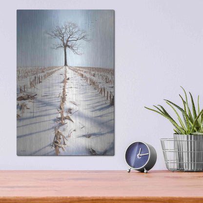 Luxe Metal Art 'Winter Boughs' by Lori Deiter, Metal Wall Art,12x16