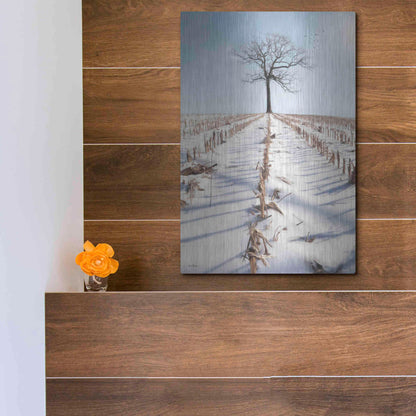 Luxe Metal Art 'Winter Boughs' by Lori Deiter, Metal Wall Art,12x16