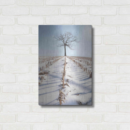 Luxe Metal Art 'Winter Boughs' by Lori Deiter, Metal Wall Art,16x24