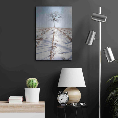 Luxe Metal Art 'Winter Boughs' by Lori Deiter, Metal Wall Art,16x24