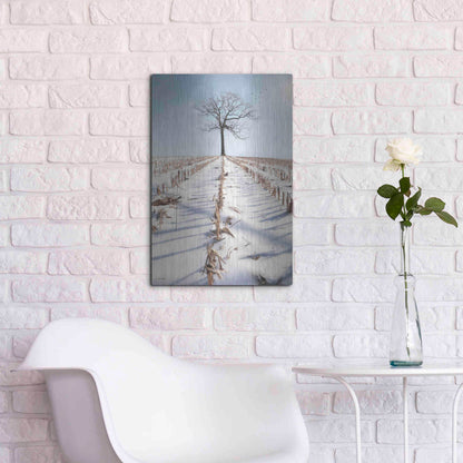 Luxe Metal Art 'Winter Boughs' by Lori Deiter, Metal Wall Art,16x24