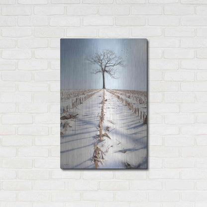 Luxe Metal Art 'Winter Boughs' by Lori Deiter, Metal Wall Art,24x36