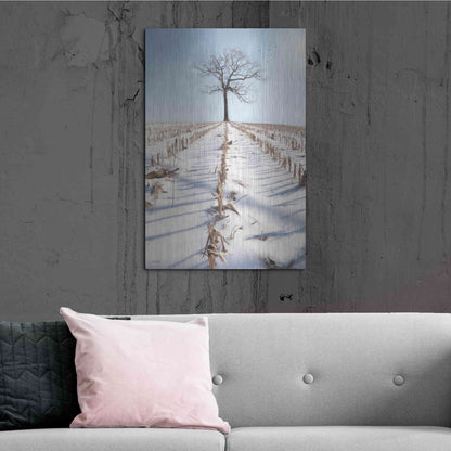 Luxe Metal Art 'Winter Boughs' by Lori Deiter, Metal Wall Art,24x36