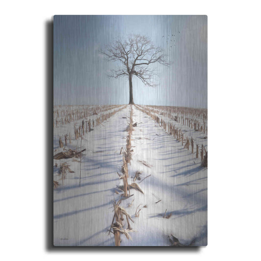 Luxe Metal Art 'Winter Boughs' by Lori Deiter, Metal Wall Art