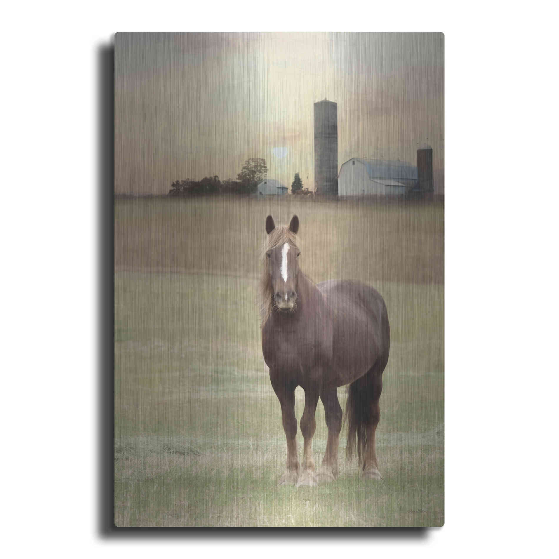 Luxe Metal Art 'Jackson Horse' by Lori Deiter, Metal Wall Art