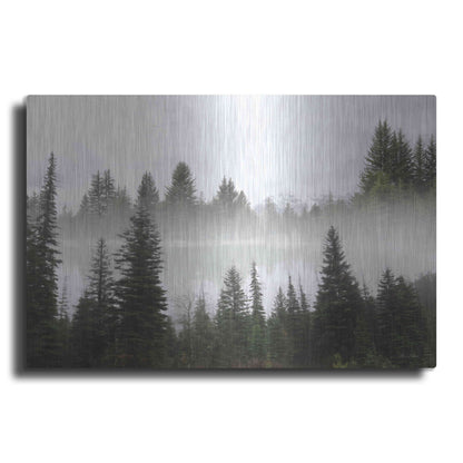 Luxe Metal Art 'Wyoming Landscape' by Lori Deiter, Metal Wall Art