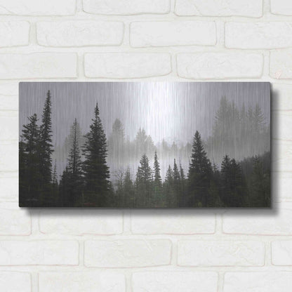 Luxe Metal Art 'Schwabachers Landing Trees' by Lori Deiter, Metal Wall Art,24x12