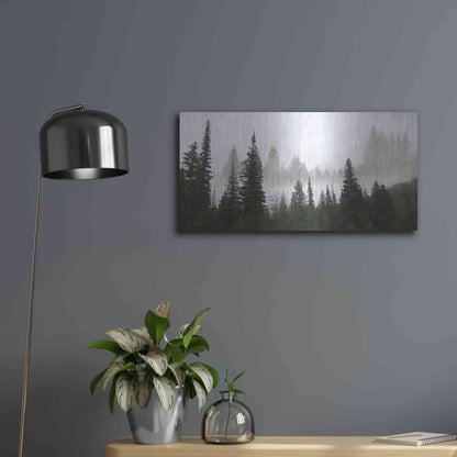 Luxe Metal Art 'Schwabachers Landing Trees' by Lori Deiter, Metal Wall Art,24x12