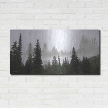 Luxe Metal Art 'Schwabachers Landing Trees' by Lori Deiter, Metal Wall Art,48x24