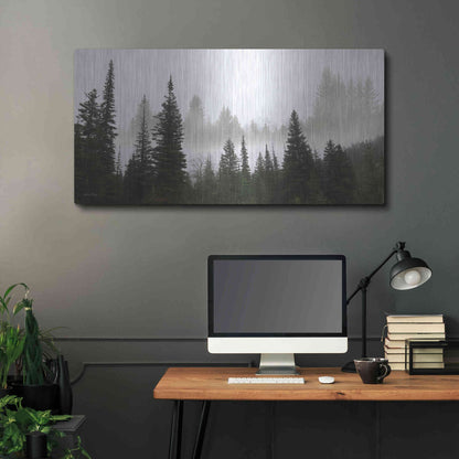 Luxe Metal Art 'Schwabachers Landing Trees' by Lori Deiter, Metal Wall Art,48x24