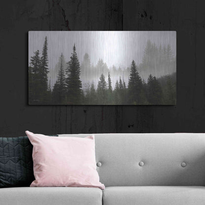 Luxe Metal Art 'Schwabachers Landing Trees' by Lori Deiter, Metal Wall Art,48x24