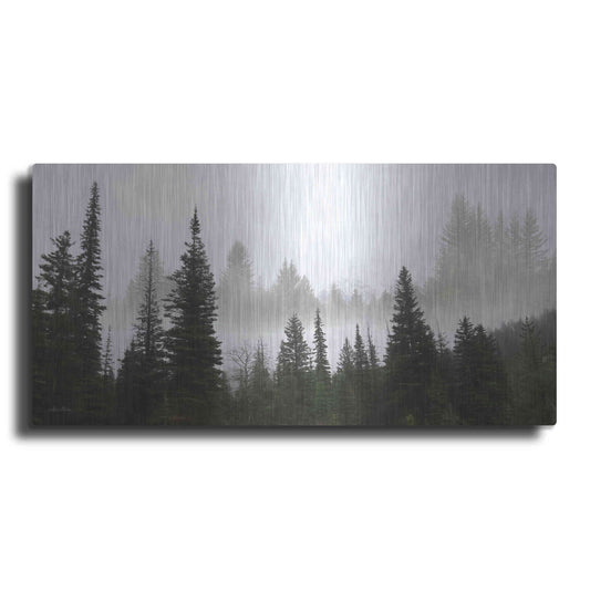 Luxe Metal Art 'Schwabachers Landing Trees' by Lori Deiter, Metal Wall Art