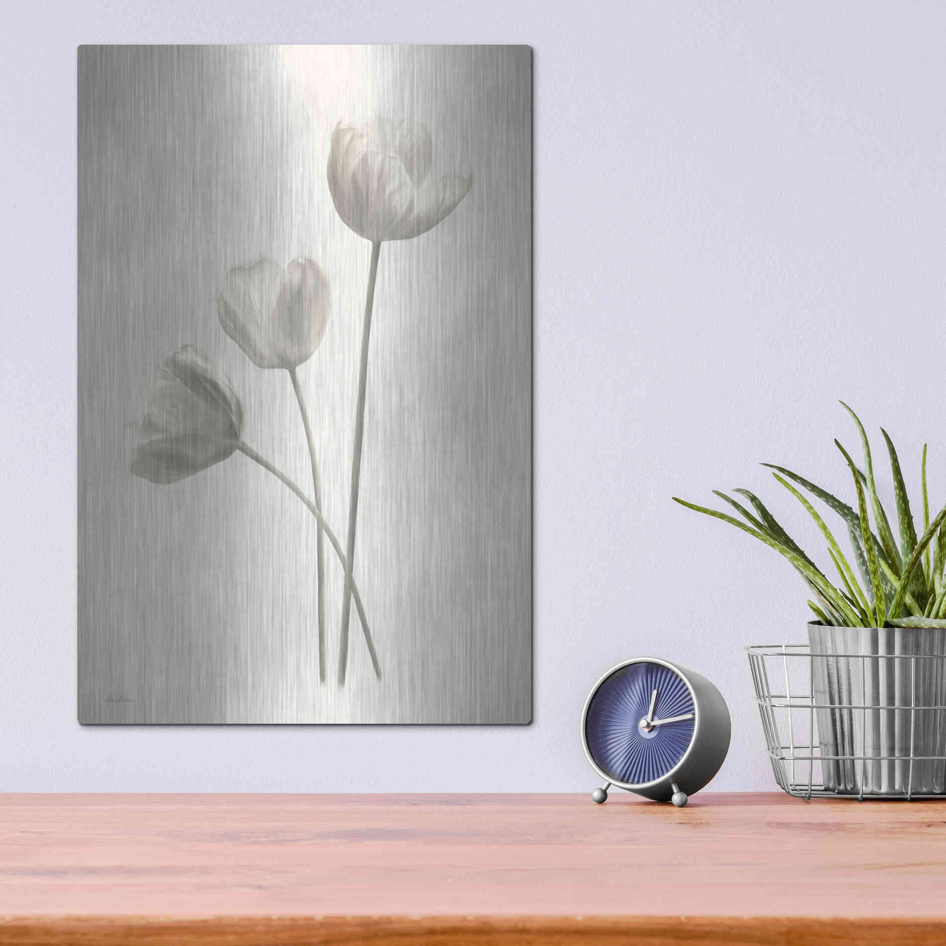 Luxe Metal Art 'Bleached Tulips I' by Lori Deiter, Metal Wall Art,12x16