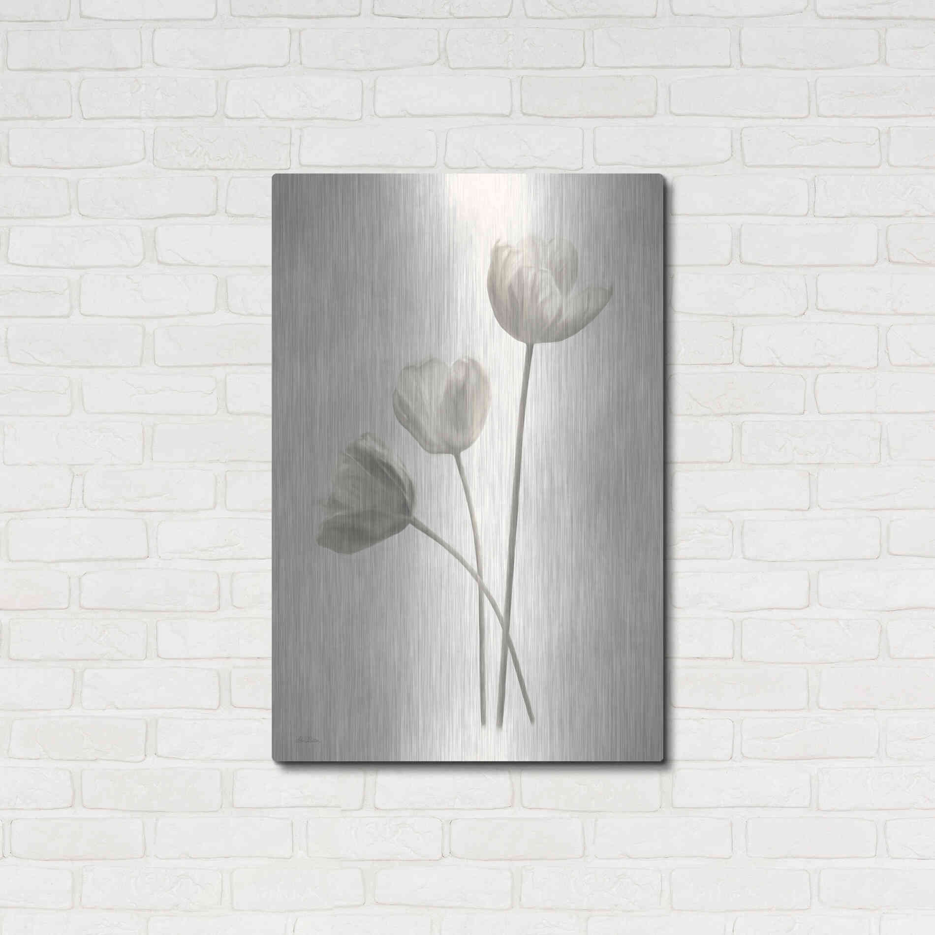 Luxe Metal Art 'Bleached Tulips I' by Lori Deiter, Metal Wall Art,24x36
