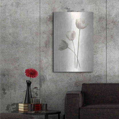 Luxe Metal Art 'Bleached Tulips I' by Lori Deiter, Metal Wall Art,24x36