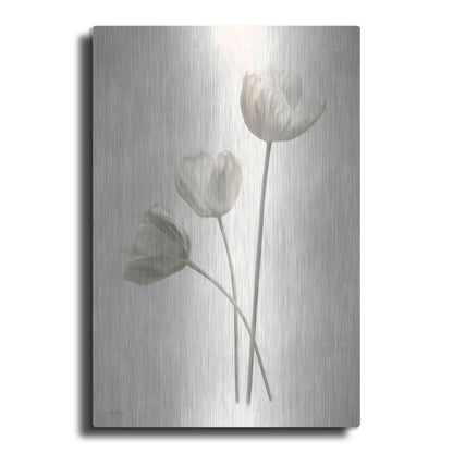Luxe Metal Art 'Bleached Tulips I' by Lori Deiter, Metal Wall Art