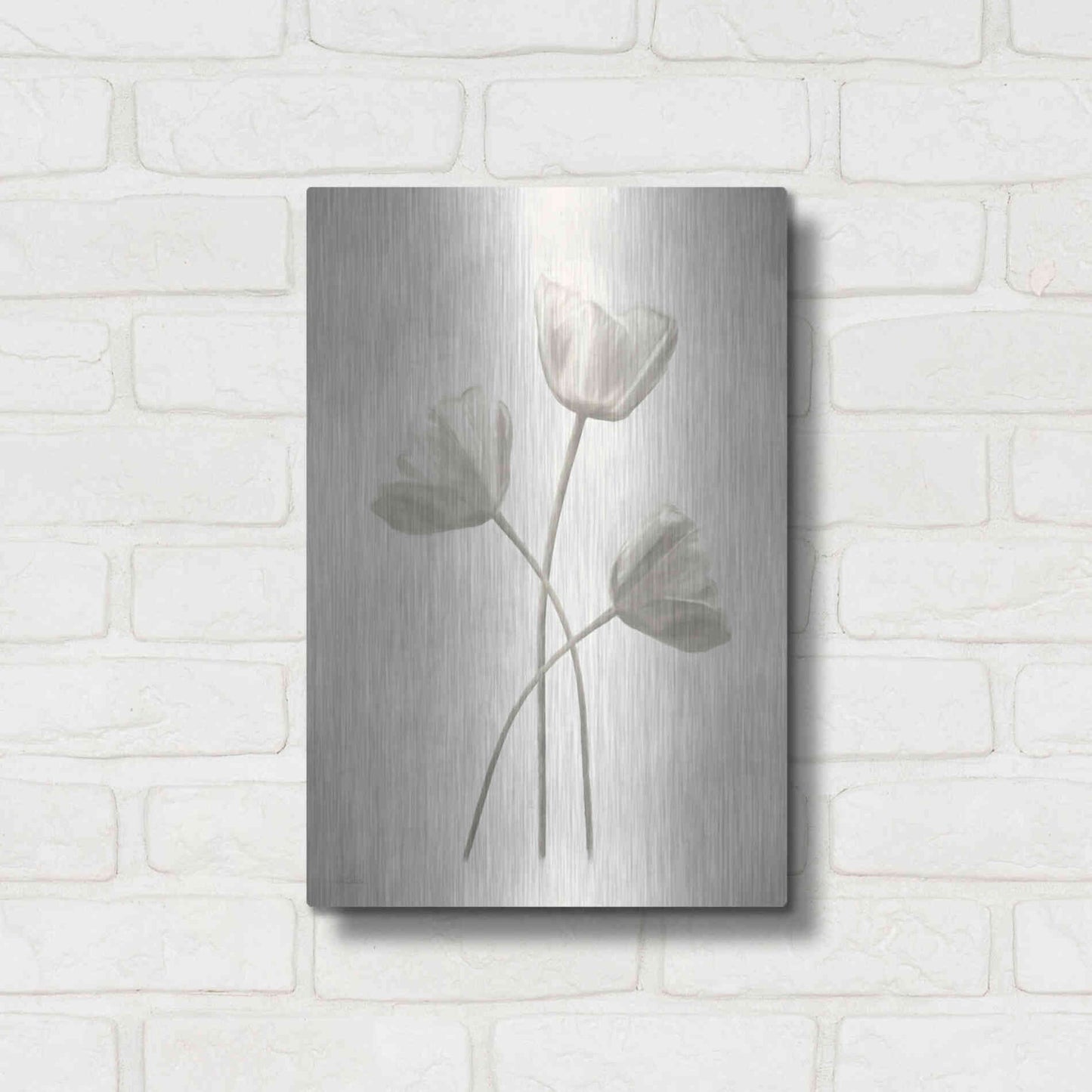 Luxe Metal Art 'Bleached Tulips II' by Lori Deiter, Metal Wall Art,12x16