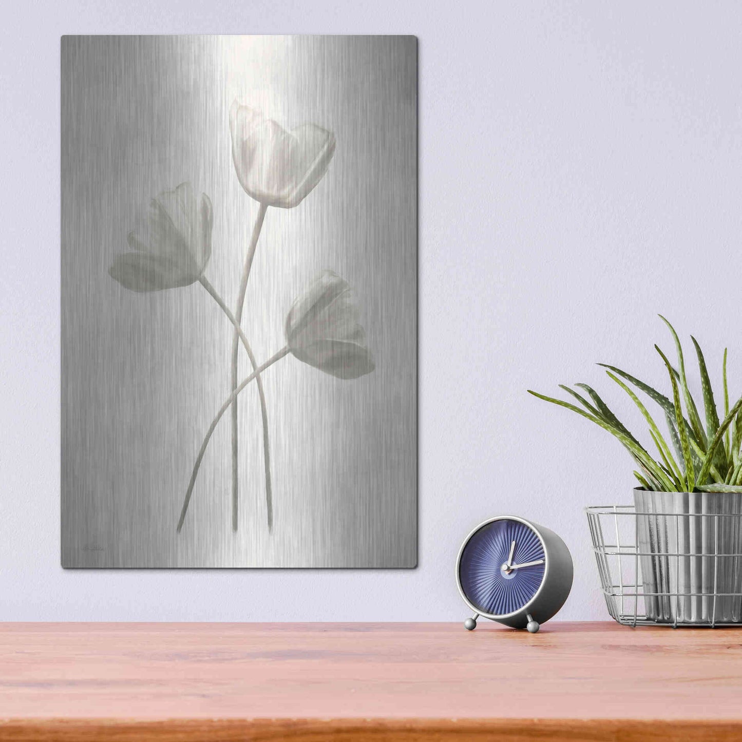 Luxe Metal Art 'Bleached Tulips II' by Lori Deiter, Metal Wall Art,12x16