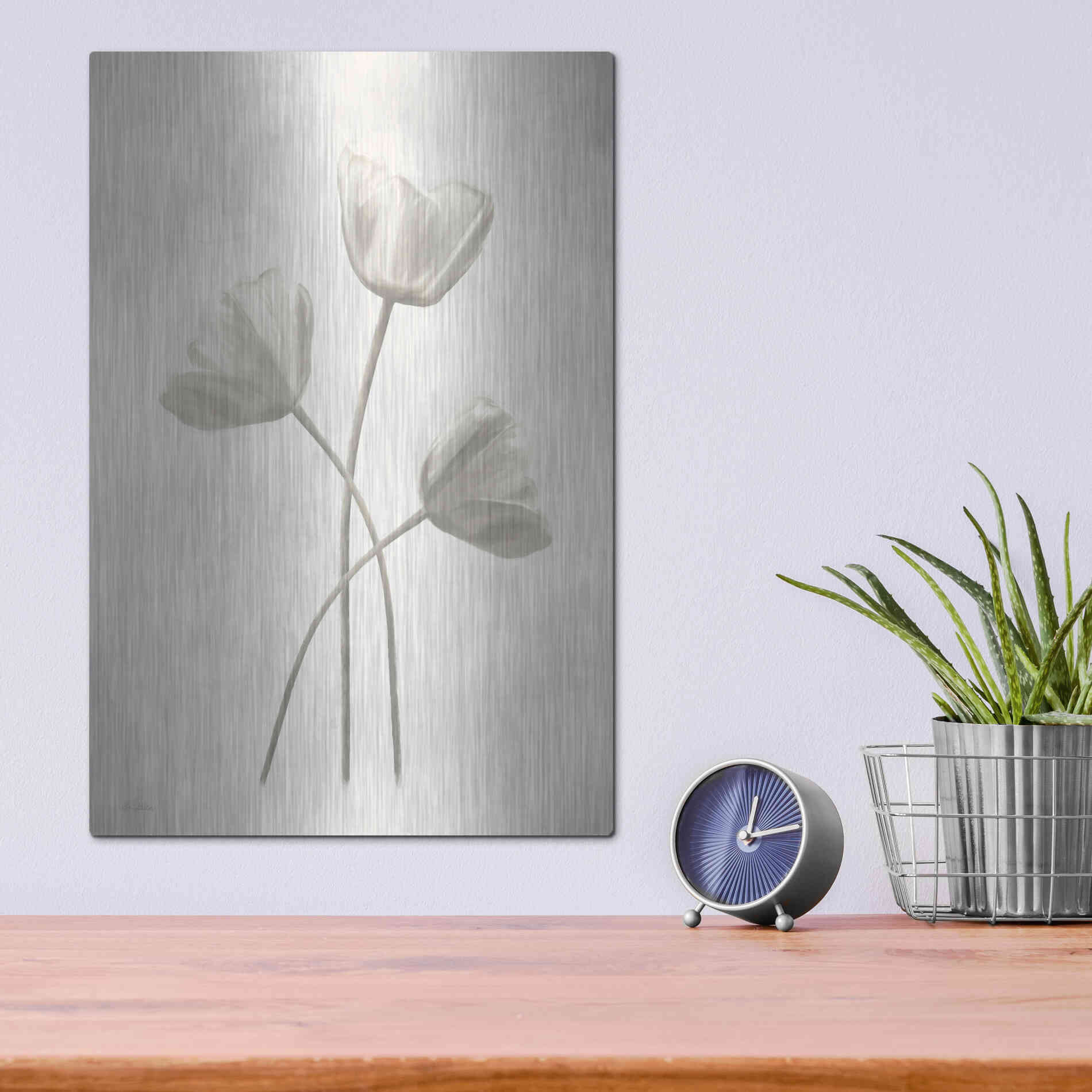 Luxe Metal Art 'Bleached Tulips II' by Lori Deiter, Metal Wall Art,12x16