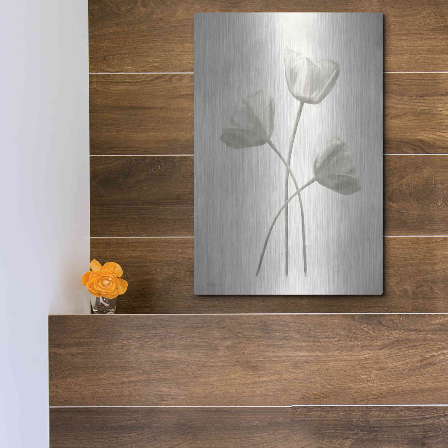 Luxe Metal Art 'Bleached Tulips II' by Lori Deiter, Metal Wall Art,12x16