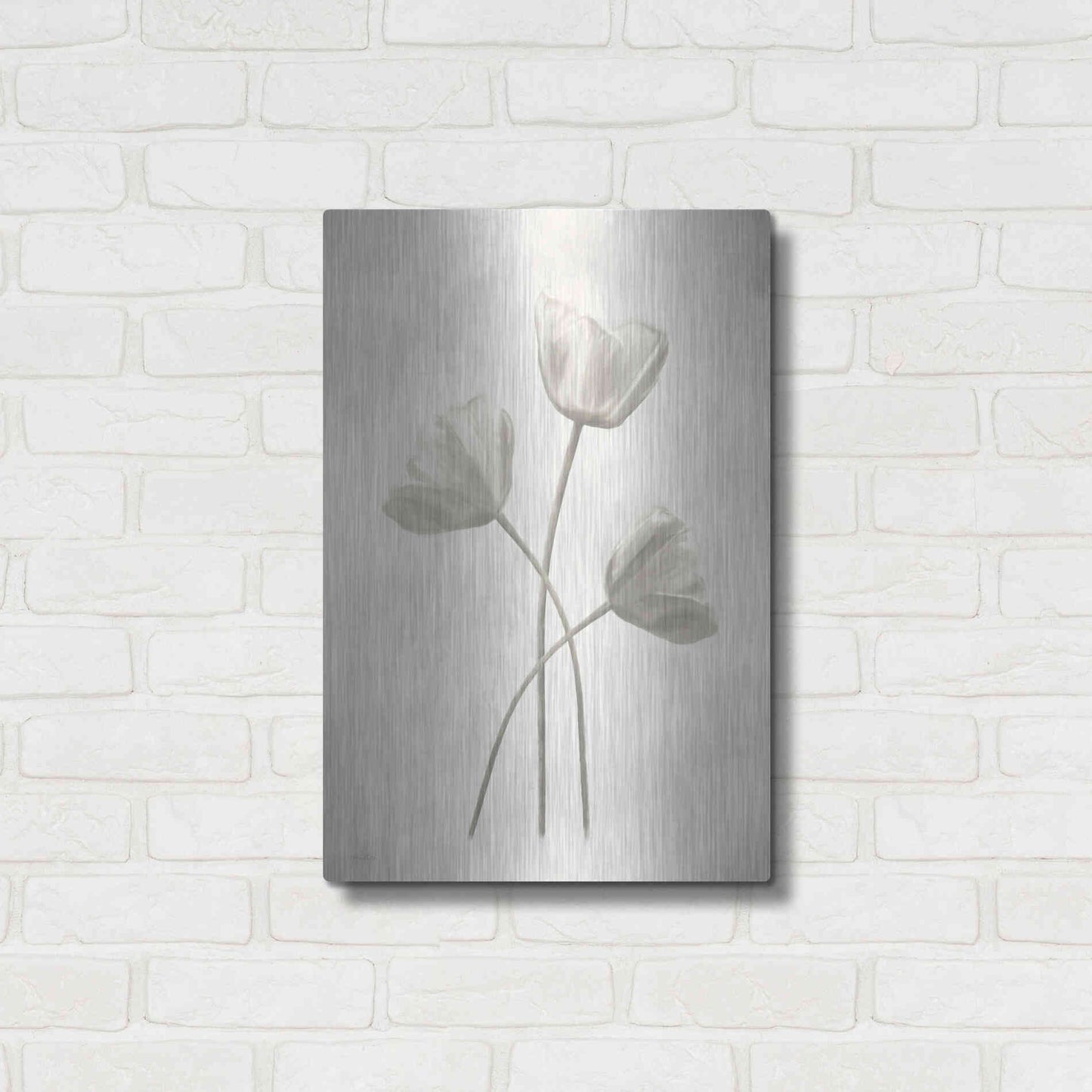Luxe Metal Art 'Bleached Tulips II' by Lori Deiter, Metal Wall Art,16x24