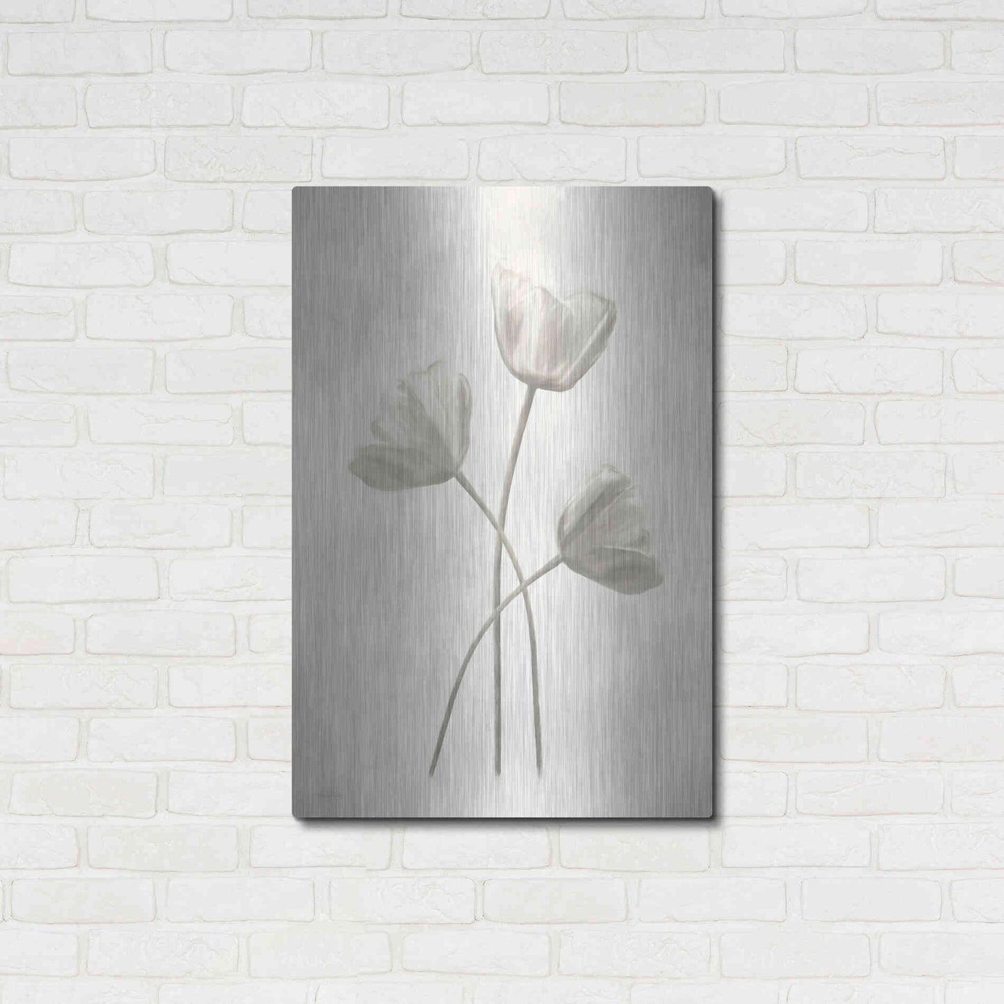 Luxe Metal Art 'Bleached Tulips II' by Lori Deiter, Metal Wall Art,24x36