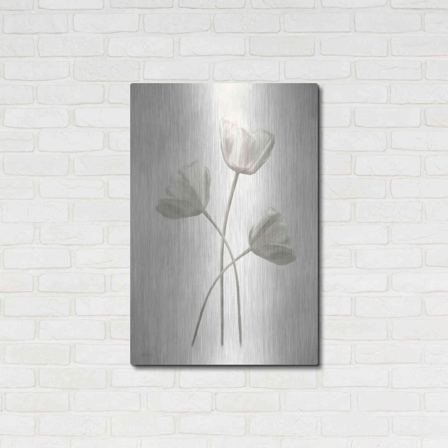 Luxe Metal Art 'Bleached Tulips II' by Lori Deiter, Metal Wall Art,24x36