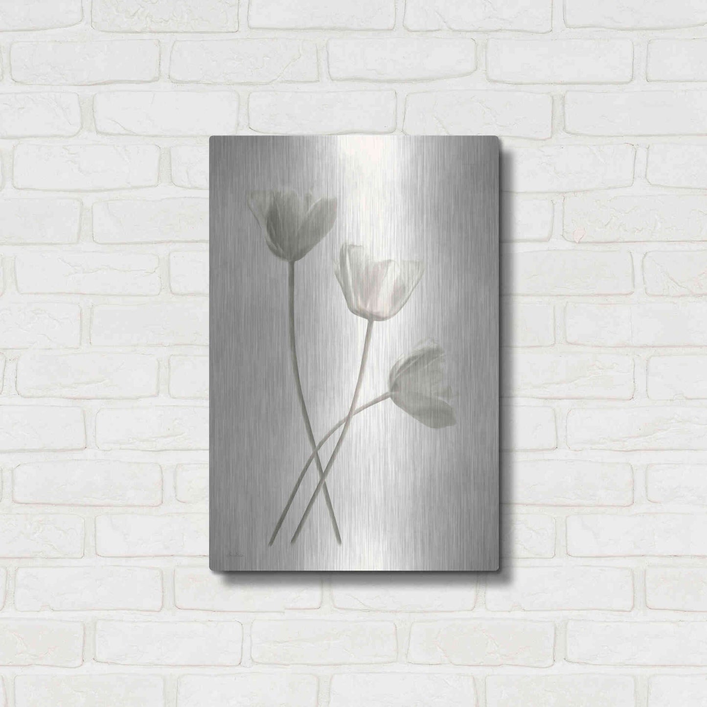 Luxe Metal Art 'Bleached Tulips III' by Lori Deiter, Metal Wall Art,16x24