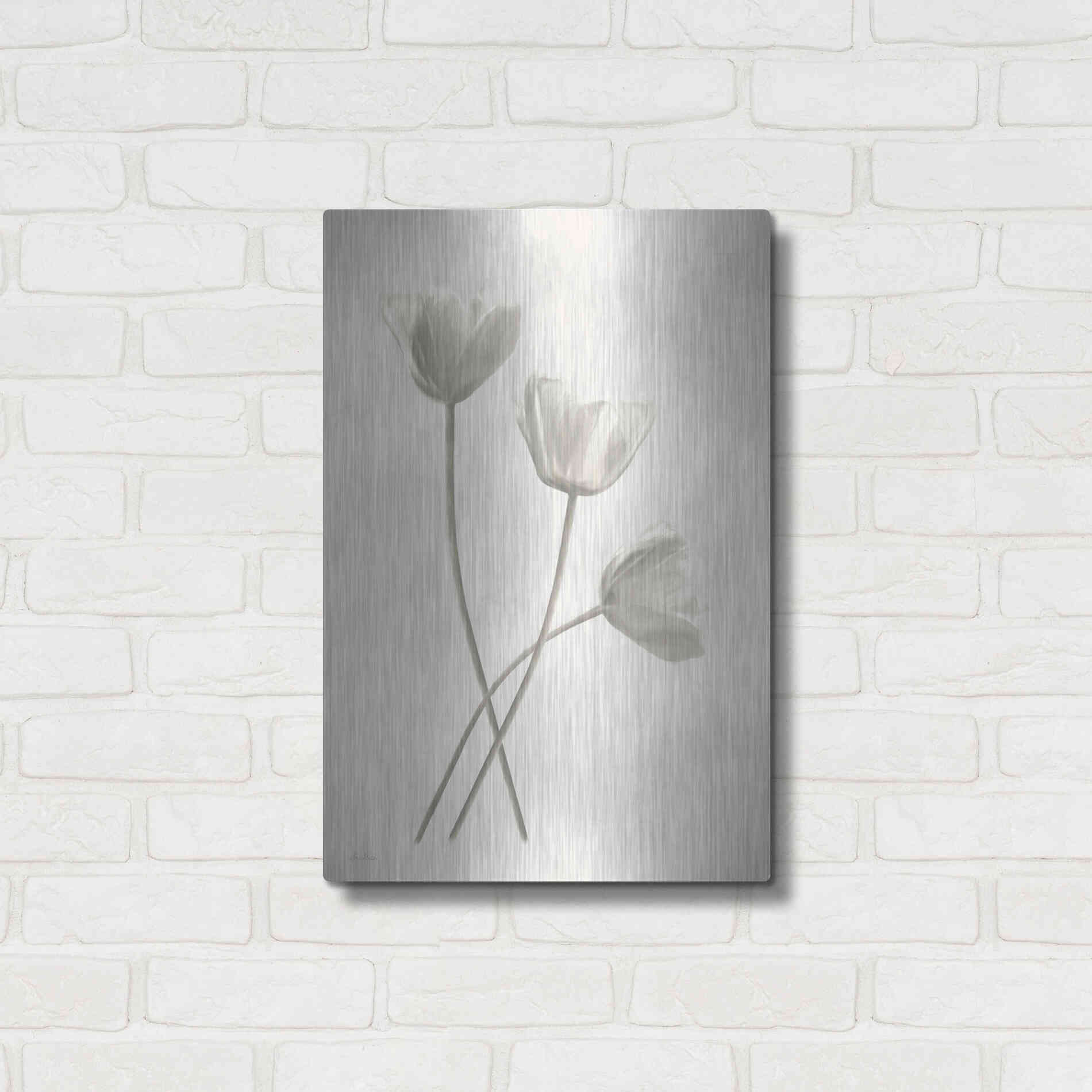 Luxe Metal Art 'Bleached Tulips III' by Lori Deiter, Metal Wall Art,16x24