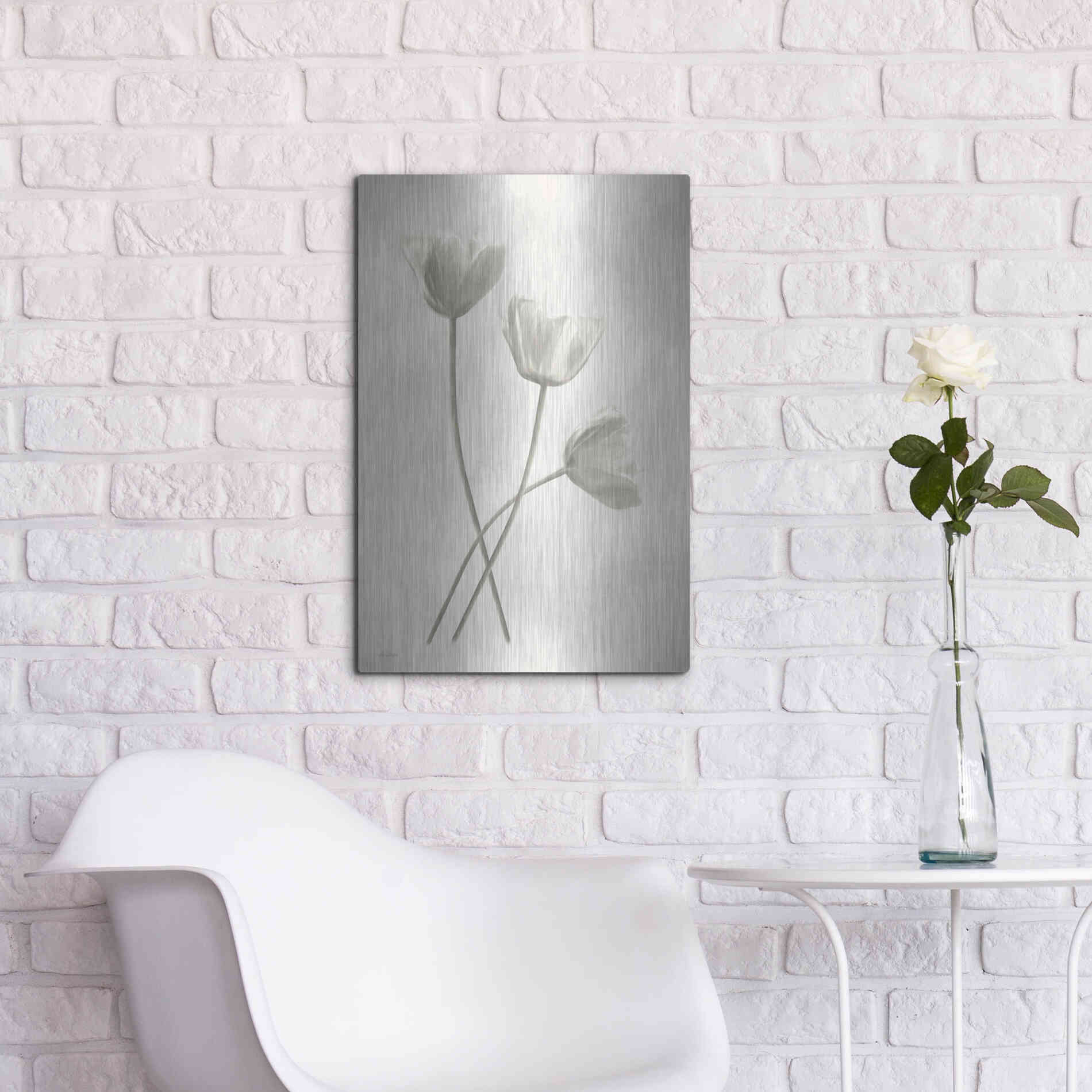 Luxe Metal Art 'Bleached Tulips III' by Lori Deiter, Metal Wall Art,16x24