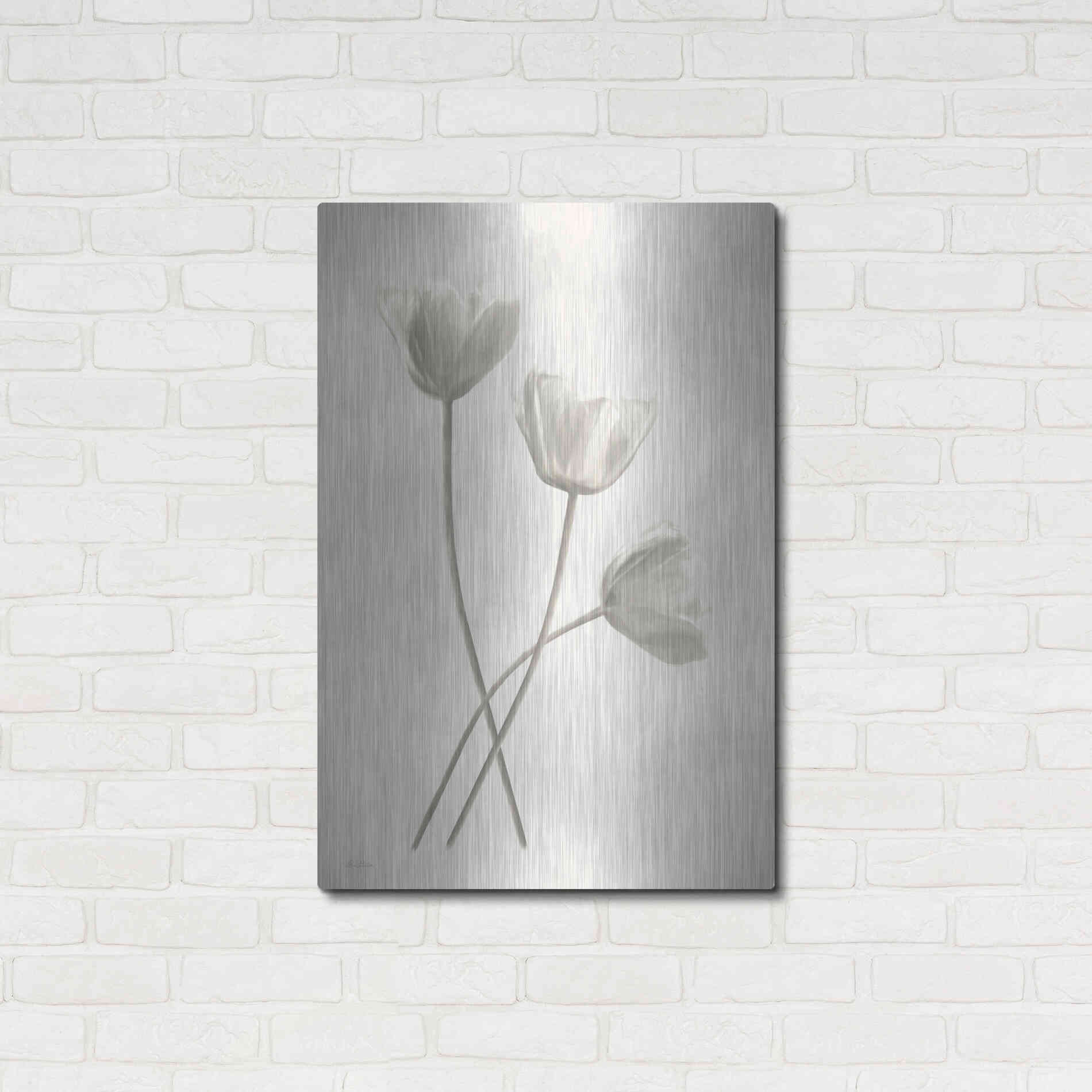 Luxe Metal Art 'Bleached Tulips III' by Lori Deiter, Metal Wall Art,24x36
