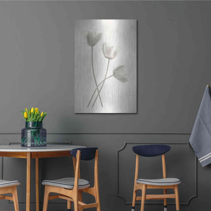 Luxe Metal Art 'Bleached Tulips III' by Lori Deiter, Metal Wall Art,24x36