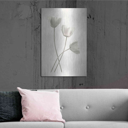 Luxe Metal Art 'Bleached Tulips III' by Lori Deiter, Metal Wall Art,24x36