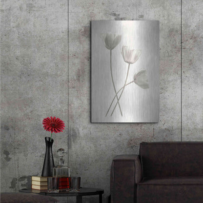 Luxe Metal Art 'Bleached Tulips III' by Lori Deiter, Metal Wall Art,24x36