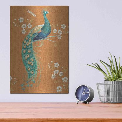 Luxe Metal Art 'Ornate Peacock IX Spice' by Daphne Brissonet, Metal Wall Art,12x16