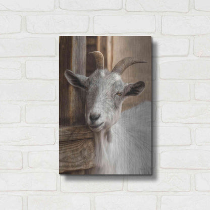 Luxe Metal Art 'Gray Goat' by Lori Deiter, Metal Wall Art,12x16