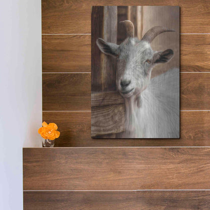 Luxe Metal Art 'Gray Goat' by Lori Deiter, Metal Wall Art,12x16