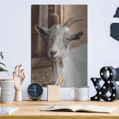 Luxe Metal Art 'Gray Goat' by Lori Deiter, Metal Wall Art,12x16