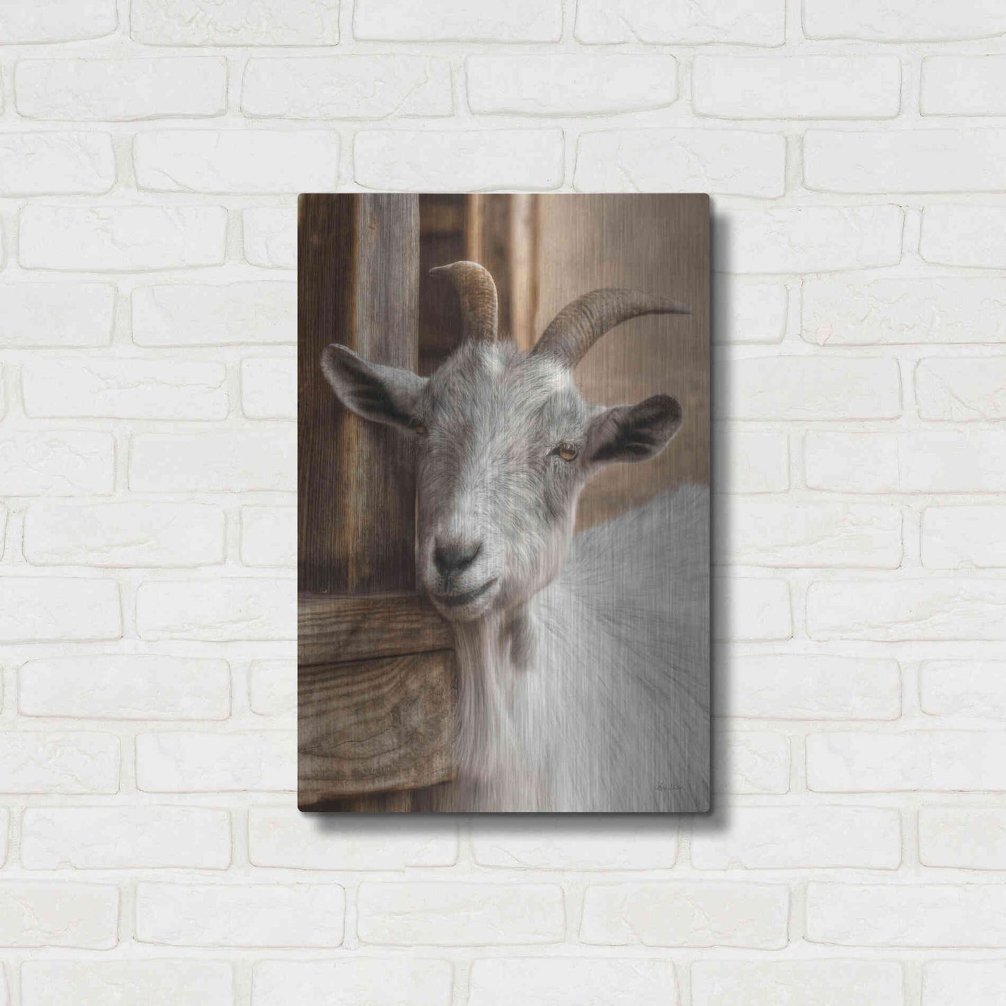 Luxe Metal Art 'Gray Goat' by Lori Deiter, Metal Wall Art,16x24