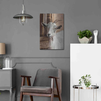 Luxe Metal Art 'Gray Goat' by Lori Deiter, Metal Wall Art,16x24