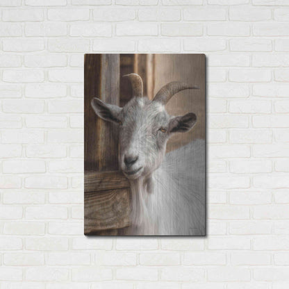 Luxe Metal Art 'Gray Goat' by Lori Deiter, Metal Wall Art,24x36